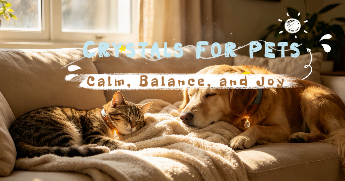 Is Your Pet's Energy  Out of Balance?