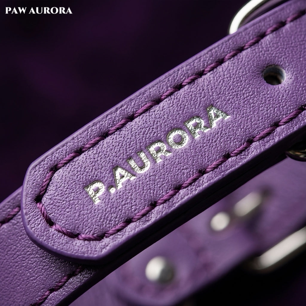 PAW AURORA Starry Pact | Purple Collar with White Crystal & Pearl