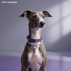 PAW AURORA Starry Pact | Purple Collar with White Crystal & Pearl