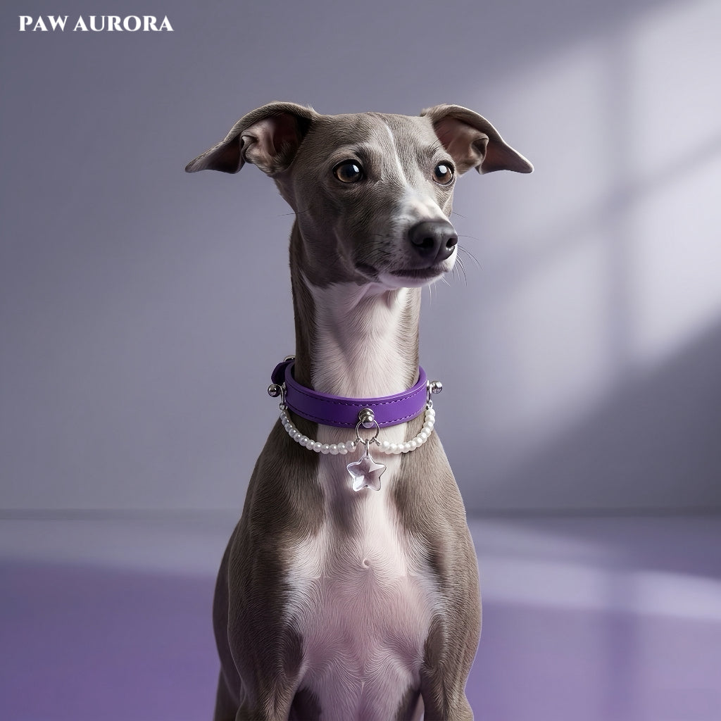 PAW AURORA Starry Pact | Purple Collar with White Crystal & Pearl