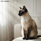 PAW AURORA Starry Pact | White Collar with Aquamarine & Pearl