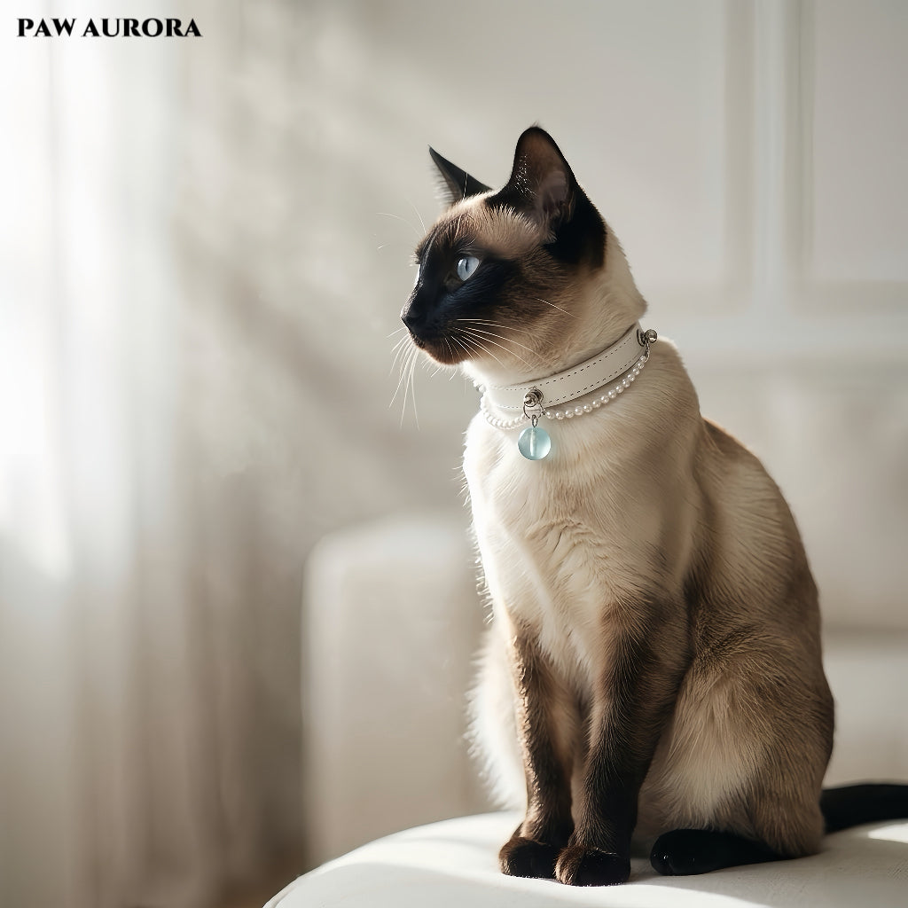 PAW AURORA Starry Pact | White Collar with Aquamarine & Pearl