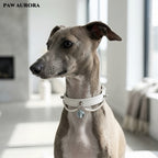 PAW AURORA Starry Pact | White Collar with Aquamarine & Pearl