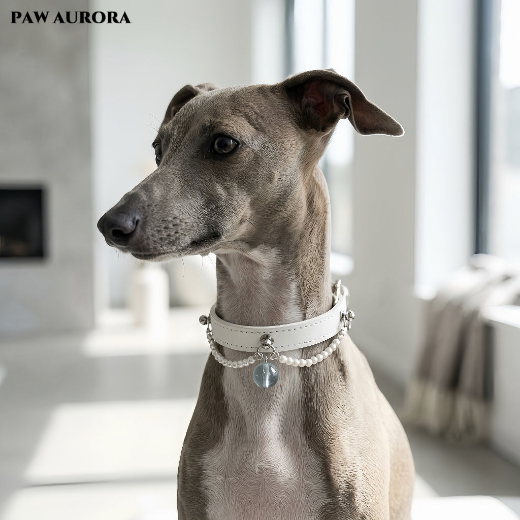 PAW AURORA Starry Pact | White Collar with Aquamarine & Pearl