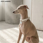 PAW AURORA Starry Pact | White Collar with Aquamarine & Pearl