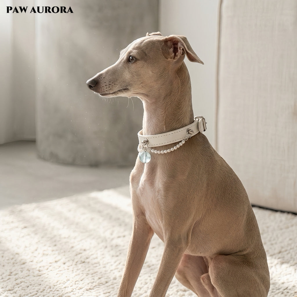 PAW AURORA Starry Pact | White Collar with Aquamarine & Pearl