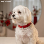 PAW AURORA Starry Pact | Handmade Celestial Pet Collar with White Crystal & Pearl