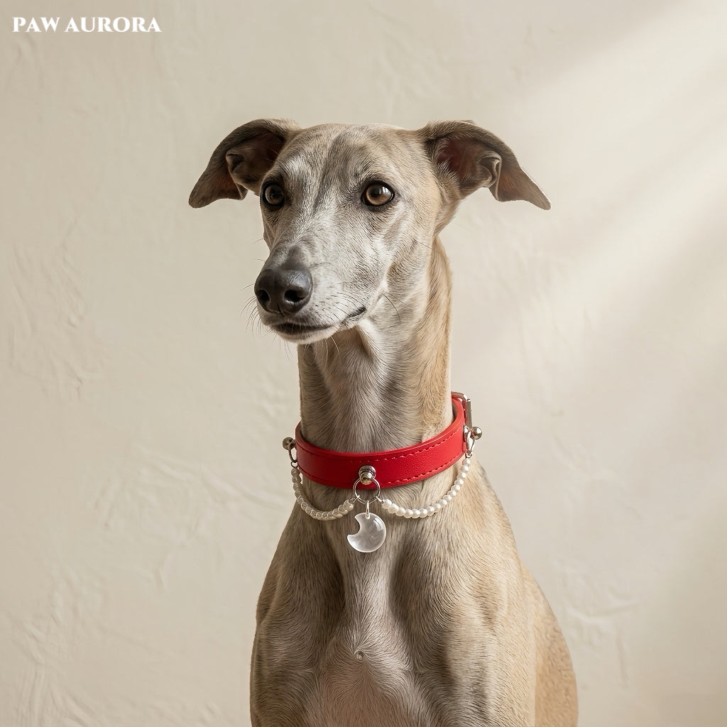 PAW AURORA Starry Pact | Handmade Celestial Pet Collar with White Crystal & Pearl