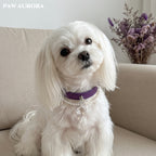 PAW AURORA Starry Pact | Purple Collar with White Crystal & Pearl