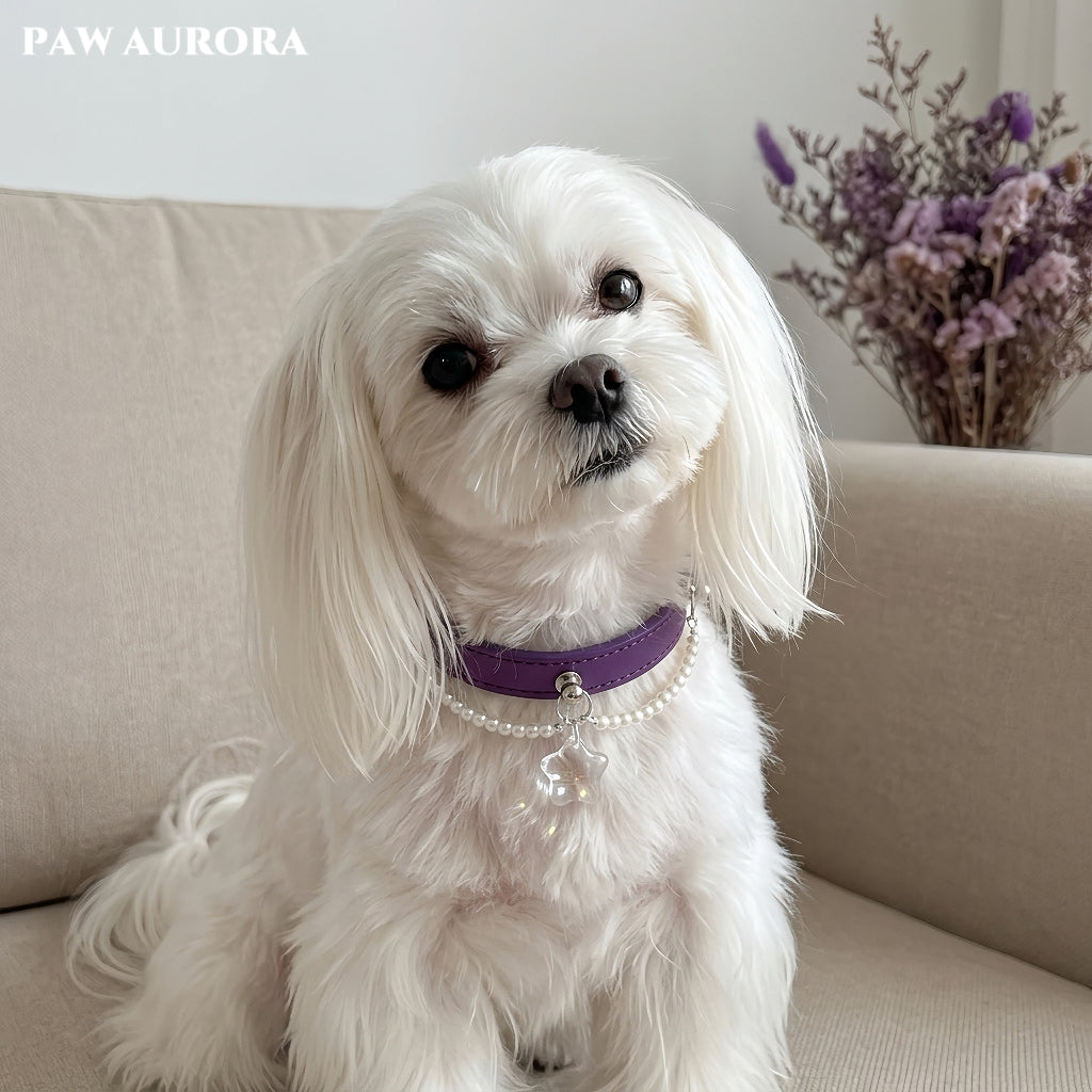 PAW AURORA Starry Pact | Purple Collar with White Crystal & Pearl
