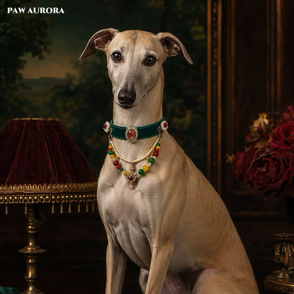 PAW AURORA Christmas Collection | Emerald Velvet Collar / Natural Agate & Magnetic DIY
