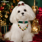 PAW AURORA Christmas Collection | Emerald Velvet Collar / Natural Agate & Magnetic DIY