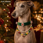 PAW AURORA Christmas Collection | Emerald Velvet Collar / Natural Agate & Magnetic DIY