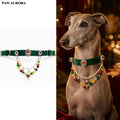 PAW AURORA Christmas Collection | Emerald Velvet Collar / Natural Agate & Magnetic DIY
