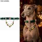 PAW AURORA Christmas Collection | Emerald Velvet Collar / Natural Agate & Magnetic DIY