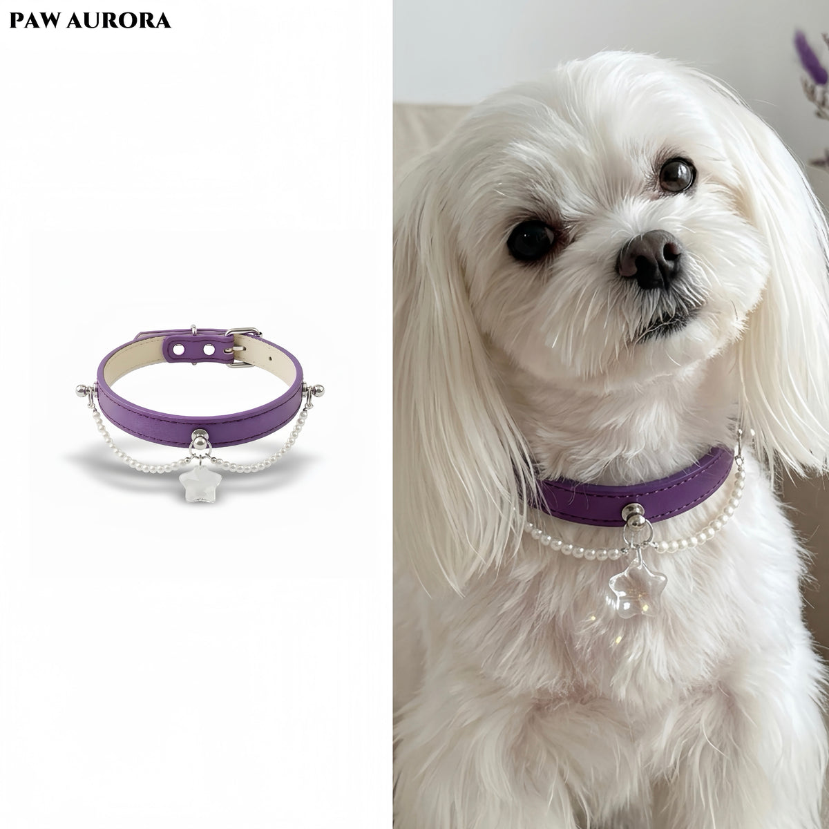 PAW AURORA Starry Pact | Purple Collar with White Crystal & Pearl