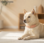 Collection Mobius - Collier pour animaux fait main original avec cristal naturel (quartz clair)