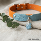 Collection Mobius - Collier pour animaux de compagnie fait main original avec cristal naturel (Aigue-marine)