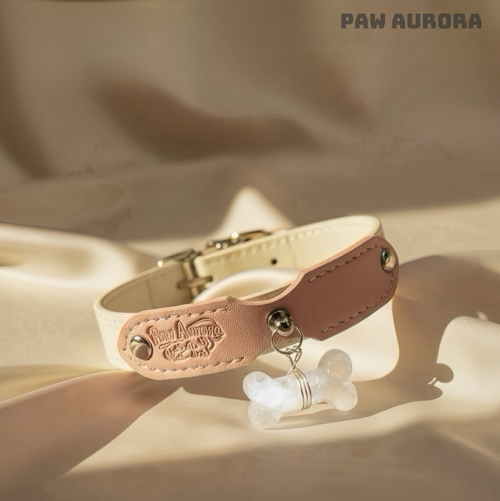 Collection Mobius - Collier pour animaux fait main original avec cristal naturel (quartz clair)