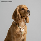 Yunwen Fangsheng - Collier pendentif en cristal pour animaux de compagnie | Soie Song Jin et jade Hetian