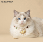 Yunwen Fangsheng - Collier de cristaux pour animaux de compagnie | Soie Song Jin et jade Hetian