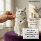 Lingxi Zi Lu · Élégant Collier pour Animaux de Compagnie | Améthyste Violette Naturelle & Perle | Réputé pour Favoriser le Calme et l'Intuition | Sûr et Non Toxique pour Chiens et Chats