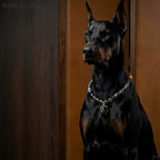 Collier pour animaux de compagnie en pierre brute naturelle | Tourmaline noire et œil de tigre bleu | Collier réglable en cristaux pour chiens et chats | Ensemble assorti humain-animal | Bijoux de style gothique