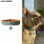 Collection Mobius - Collier pour animaux de compagnie fait main original avec cristal naturel (Aigue-marine)