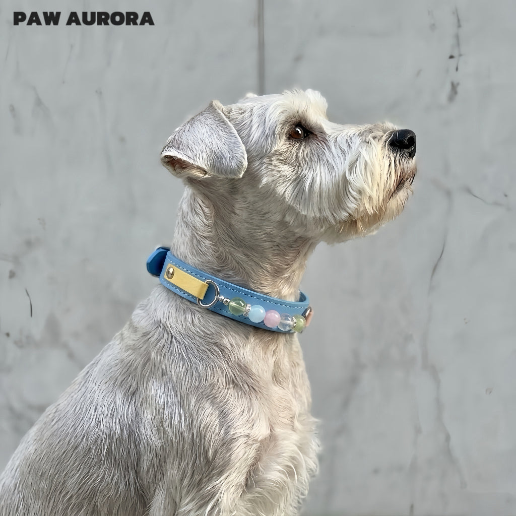 Collier en cristal fait main PAW AURORA pour chiens et chats – Collier en cuir au design original pour animaux de compagnie avec pierres précieuses naturelles en bleu de Prusse