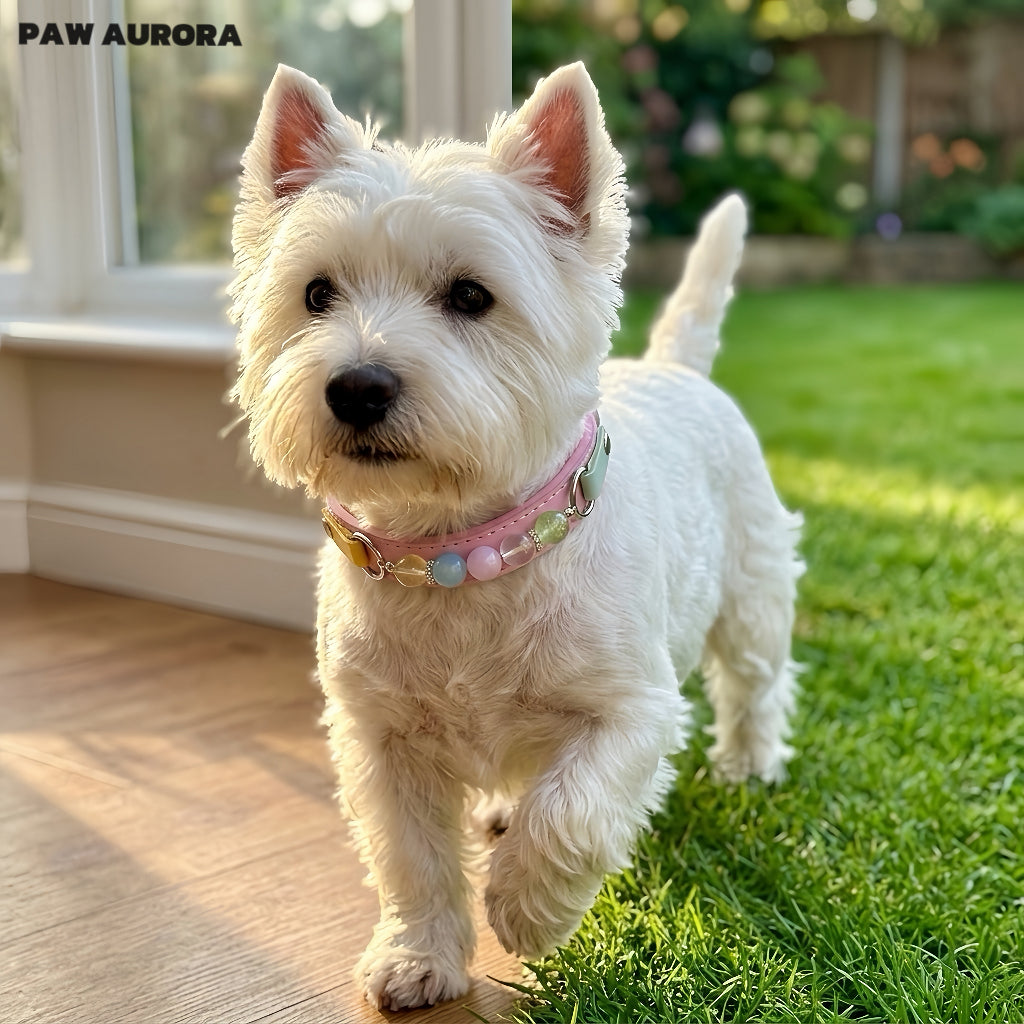 Collier pour chiens et chats PAW AURORA fait à la main en cristal – Collier original en cuir pour animaux de compagnie avec pierres précieuses naturelles roses