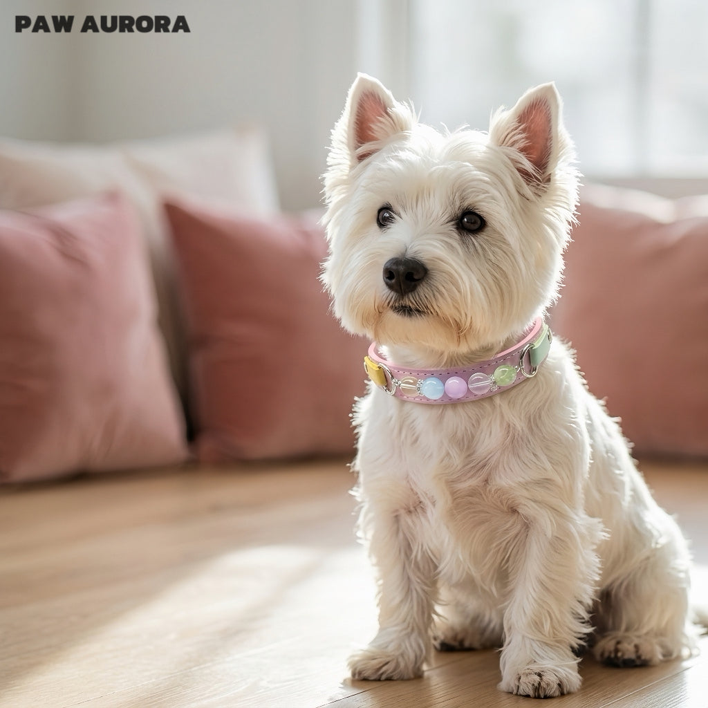 Collier pour chiens et chats PAW AURORA fait à la main en cristal – Collier original en cuir pour animaux de compagnie avec pierres précieuses naturelles roses