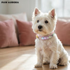 Collier pour chiens et chats PAW AURORA fait à la main en cristal – Collier original en cuir pour animaux de compagnie avec pierres précieuses naturelles roses