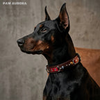 PAW AURORA Collier pour animal de compagnie en cristal Twilight Abyss | Collier de luxe gothique en cuir pour chien avec Œil de Tigre et Obsidienne naturels | Nom personnalisable | Bijoux compagnons à l'esthétique sombre