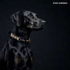 Collier pour chien PAW AURORA Twilight Abyss | Cuir noir fait main avec œil de tigre naturel et obsidienne | Collier pour animaux de compagnie à l'esthétique sombre