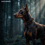 PAW AURORA Collier pour animal de compagnie en cristal Twilight Abyss | Collier de luxe gothique en cuir pour chien avec Œil de Tigre et Obsidienne naturels | Nom personnalisable | Bijoux compagnons à l'esthétique sombre