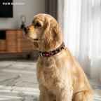PAW AURORA Collier pour animal de compagnie en cristal Twilight Abyss | Collier de luxe gothique en cuir pour chien avec Œil de Tigre et Obsidienne naturels | Nom personnalisable | Bijoux compagnons à l'esthétique sombre