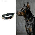 Collier pour chien PAW AURORA Twilight Abyss | Cuir noir fait main avec œil de tigre naturel et obsidienne | Collier pour animaux de compagnie à l'esthétique sombre