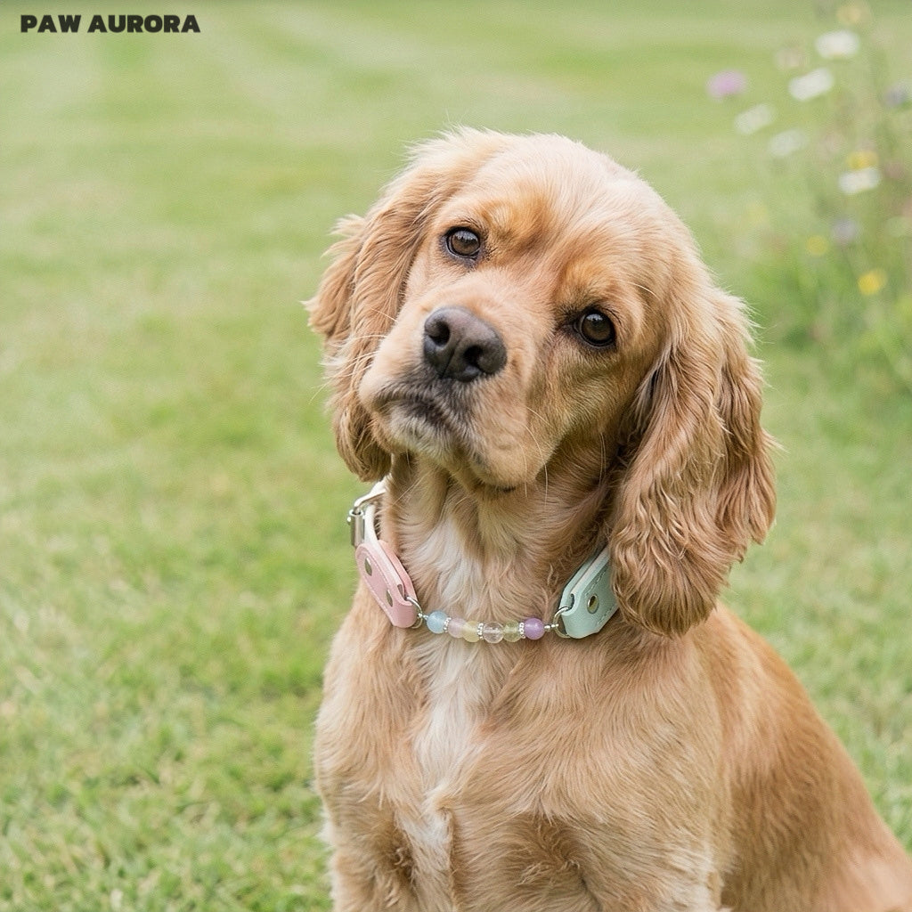 Collier pour chien fait main en cristal Paw Aurora « Ivory Spectrum » – Cuir végétalien rose et vert avec pierres précieuses naturelles