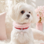 PAW AURORA Tao Yao | Pink Fur Collar w/ Rose Quartz Cloud Lock