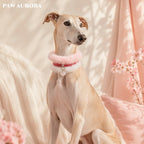 PAW AURORA Tao Yao | Pink Fur Collar w/ Rose Quartz Cloud Lock