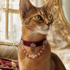 PAW AURORA Rose Castle | Velvet Collar w/ Strawberry Quartz & DIY Magnetic