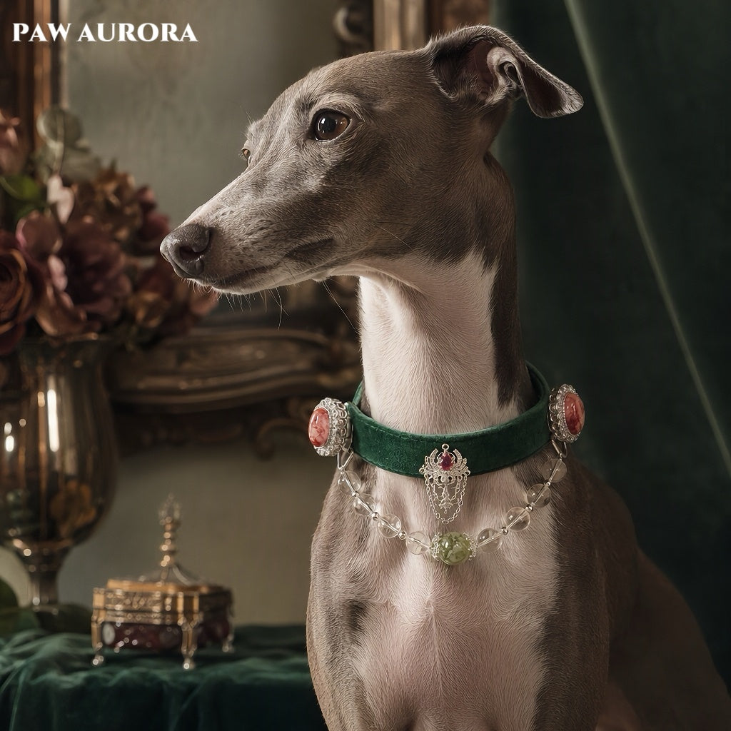 PAW AURORA Green Wild | Emerald Velvet Collar/ White Crystal & Red Floral