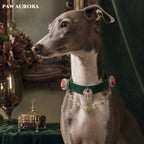 PAW AURORA Green Wild | Emerald Velvet Collar/ White Crystal & Red Floral