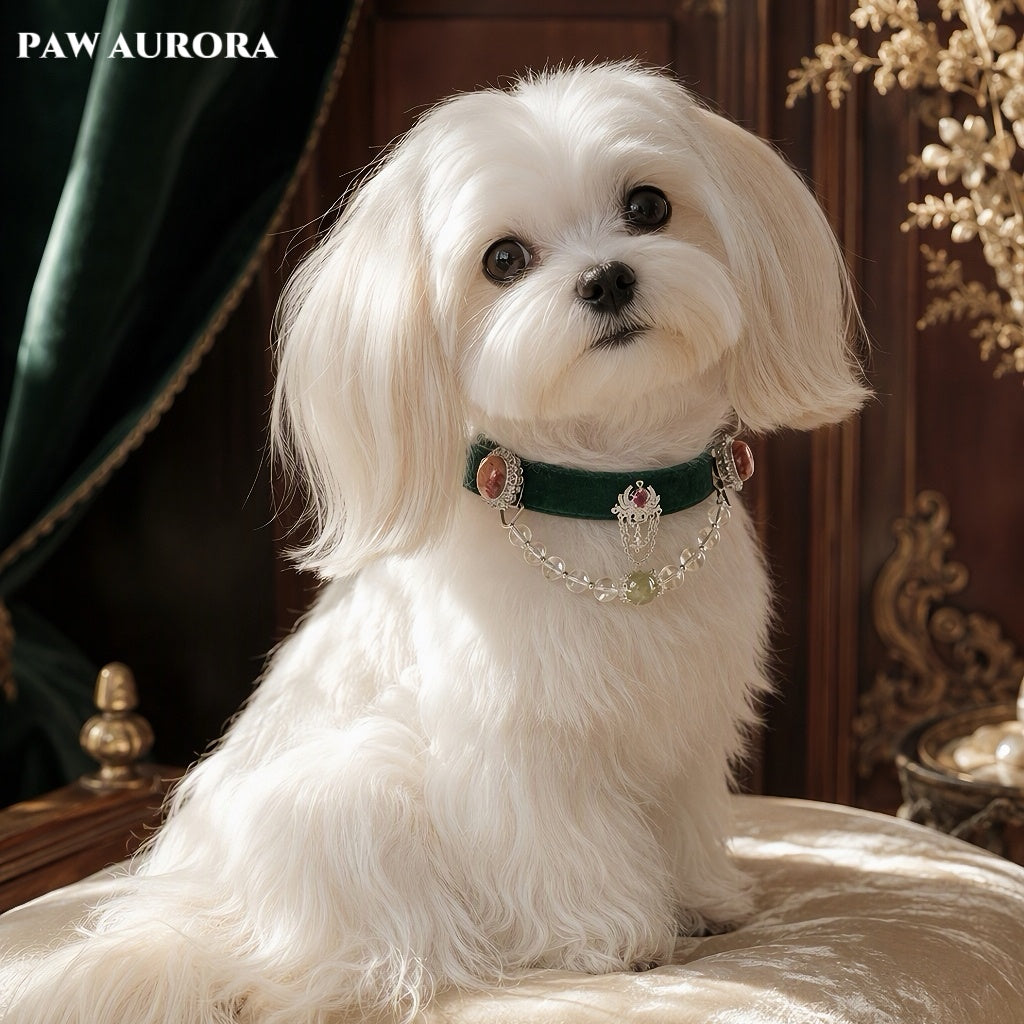 PAW AURORA Green Wild | Emerald Velvet Collar/ White Crystal & Red Floral