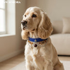 PAW AURORA NEBU | Root Chakra Pet Collar – Natural Super Seven & Red Tiger Eye, Blue Vegan Leather, Adjustable Decor for Dogs & Cats