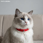 PAW AURORA Starry Pact | Handmade Celestial Pet Collar with White Crystal & Pearl